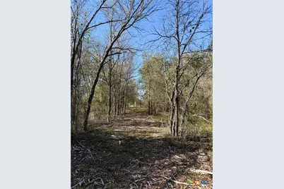 10794 Fm 2159, Calvert, TX 77837 - Photo 44