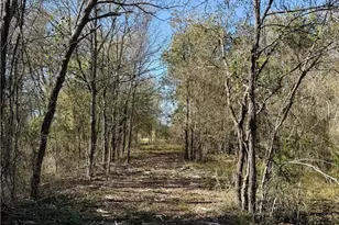 10794 FM 2159, Calvert, TX 77837 - Photo 44