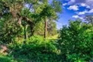 12121 Fm 32, Fischer, TX 78623 - Photo 1