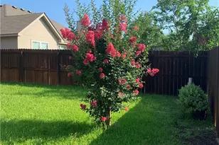 1113 Branchwood Way, Temple, TX 76502 - Photo 26