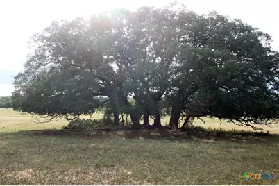 6019 Fm 3158, Dale, TX 78616 - Photo 14