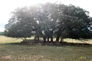 6019 Fm 3158, Dale, TX 78616 - Photo 14