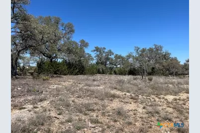 1161 Brads Flight, Canyon Lake, TX 78133 - Photo 10