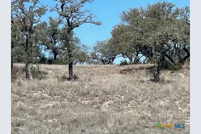 1161 Brads Flight, Canyon Lake, TX 78133 - Photo 18