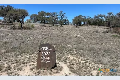1161 Brads Flight, Canyon Lake, TX 78133 - Photo 1