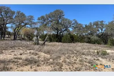 1161 Brads Flight, Canyon Lake, TX 78133 - Photo 8