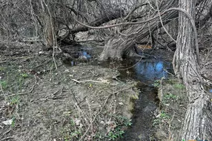 Tbd County Road 196, Georgetown, TX 78626 - Photo 12