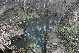 Tbd County Road 196, Georgetown, TX 78626 - Photo 4