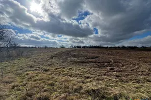 Tbd County Road 196, Georgetown, TX 78626 - Photo 10