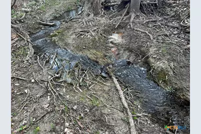 Tbd County Road 196, Georgetown, TX 78626 - Photo 14