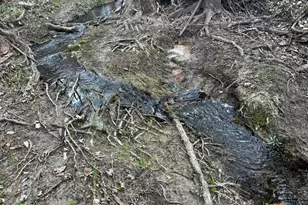 Tbd County Road 196, Georgetown, TX 78626 - Photo 14