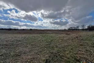 Tbd County Road 196, Georgetown, TX 78626 - Photo 8