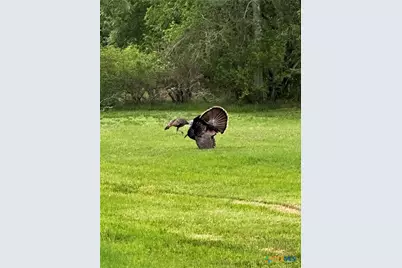 1206 Al Calde De La Bahia, Goliad, TX 77963 - Photo 32