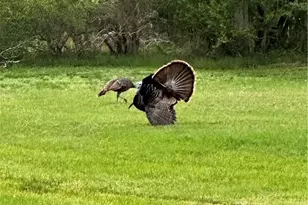 1206 Alcalde De La Bahia, Goliad, TX 77963 - Photo 32