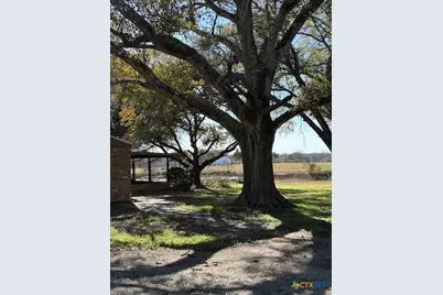 2082 Fm 318, Hallettsville, TX 77964 - Photo 6