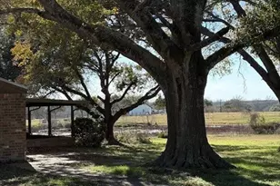 2082 FM318, Hallettsville, TX 77964 - Photo 6