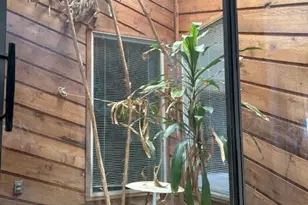 2082 FM318, Hallettsville, TX 77964 - Photo 12