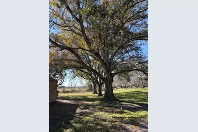 2082 Fm 318, Hallettsville, TX 77964 - Photo 4