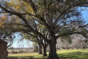 2082 FM318, Hallettsville, TX 77964 - Photo 4