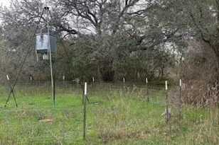 2082 FM318, Hallettsville, TX 77964 - Photo 4