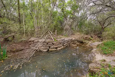 250 Mail Route Road, Fischer, TX 78623 - Photo 4