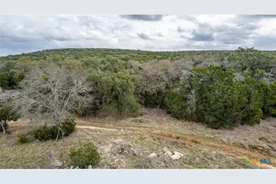 250 Mail Route Road, Fischer, TX 78623 - Photo 18