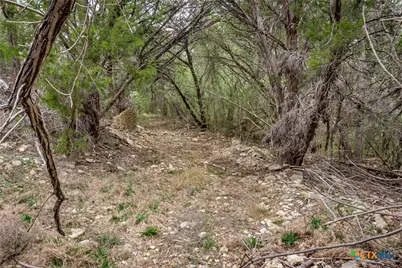 250 Mail Route Road, Fischer, TX 78623 - Photo 14