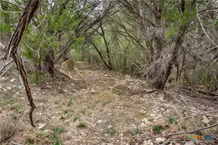 250 Mail Rte Rd, Fischer, TX 78623 - Photo 14