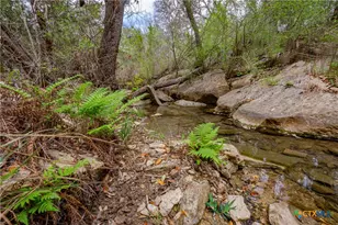 250 Mail Rte Rd, Fischer, TX 78623 - Photo 2