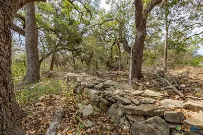 250 Mail Route Road, Fischer, TX 78623 - Photo 16