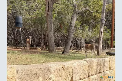 2872 Lakeview Drive, Canyon Lake, TX 78133 - Photo 34