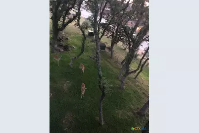 943 Parkview Drive #C6, Canyon Lake, TX 78133 - Photo 12