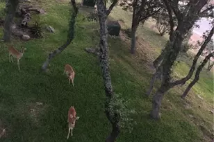 943 Parkview Dr, Canyon Lake, TX 78133 - Photo 12