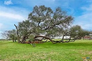 341 Co Rd 233, Hallettsville, TX 77964 - Photo 40