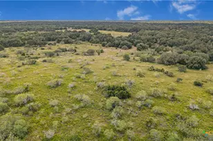 Tbd Tx-111, Edna, TX 77957 - Photo 20