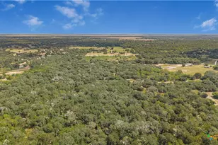 Tbd Tx-111, Edna, TX 77957 - Photo 6