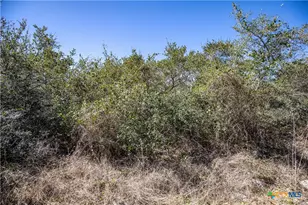 Blk A Tr 13 Rhodes Ave, Aransas Pass, TX 78336 - Photo 30