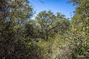 Blk A Tr 13 Rhodes Ave, Aransas Pass, TX 78336 - Photo 36