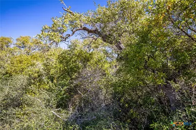 Blk A Tr 13 Rhodes Avenue, Aransas Pass, TX 78336 - Photo 24