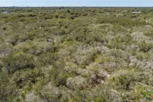 Blk A Tr 13 Rhodes Ave, Aransas Pass, TX 78336 - Photo 20