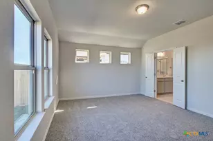 2827 Sacaton Dr, New Braunfels, TX 78130 - Photo 10