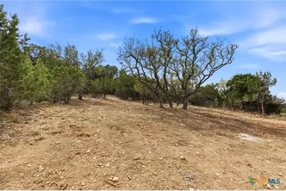 684 Appaloosa Drive, Fischer, TX 78623 - Photo 46