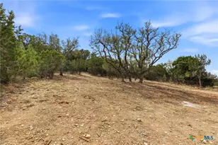 684 Appaloosa Dr, Fischer, TX 78623 - Photo 46