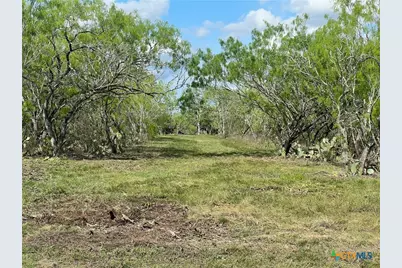 0 Cr 180, Smiley, TX 78159 - Photo 1