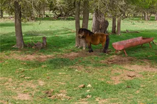 6200 Solana Ranch Rd, Salado, TX 76571 - Photo 38