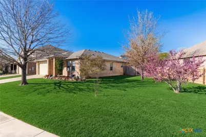 1310 Grande Mesa Drive, Georgetown, TX 78626 - Photo 30