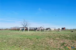 Tbd State Hwy 95, Moulton, TX 77975 - Photo 16