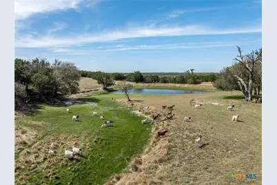 5680 Cr 142, Gatesville, TX 76528 - Photo 24