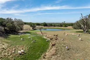 5680 Cr 142, Gatesville, TX 76528 - Photo 24