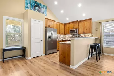 1306 Live Oak Drive, Spring Branch, TX 78070 - Photo 8